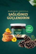 Nüveden Kozalak Macunu 240 gr - Görsel 4
